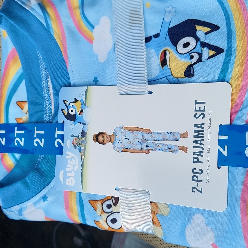 2 piece pajamas set bluey